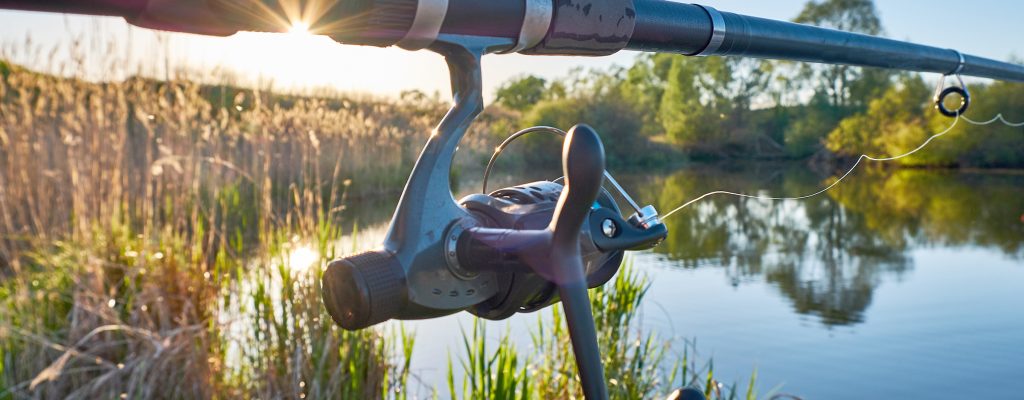 Fishing,Reel,On,The,Rod.,Fishing,On,The,Feeder